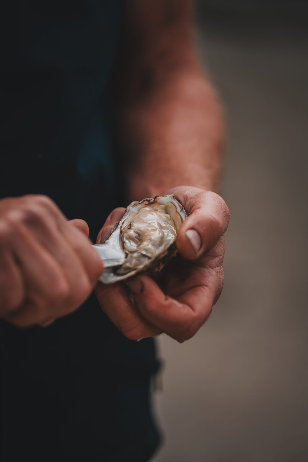 Porthilly Oysters being shucked